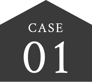 CASE 01