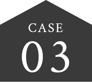 CASE 03