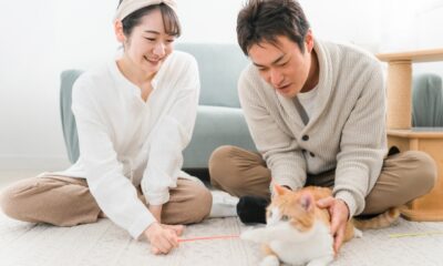 「初めての飼育も安心な家。快適な空間で楽しむペットライフを提案」