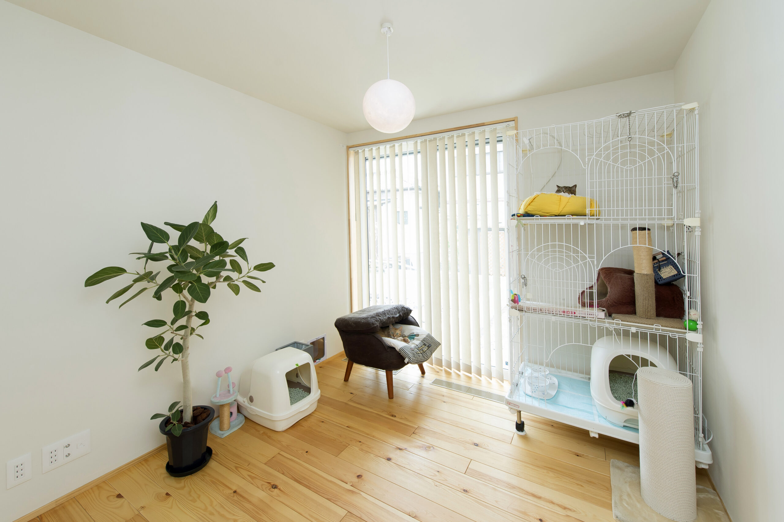 【多治見市】猫と暮らす3LDK+ウォークインクローゼットのある平屋の写真15