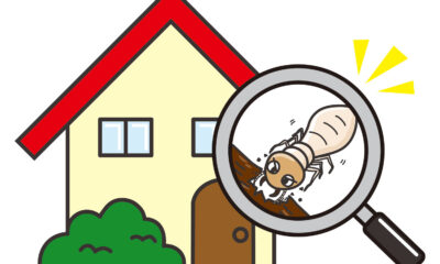 これからの季節に注意！家に出る不快な虫とその対策！