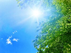 多治見市で窓リノベをするならワダハウジング