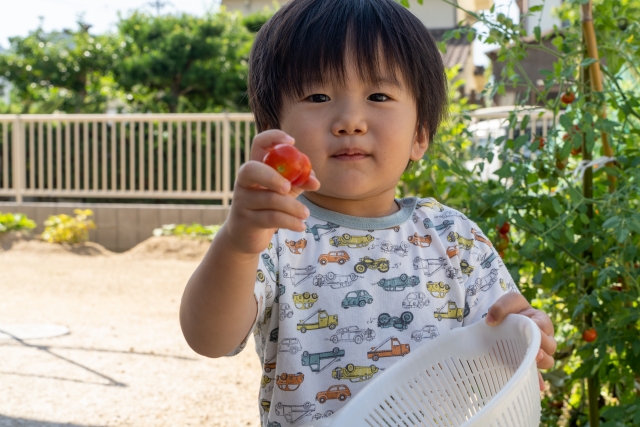土岐市で家族と家庭菜園を楽しむ家を建てるならワダハウジング
