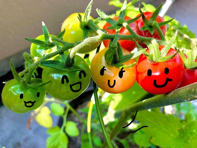 土岐市で家族と家庭菜園を楽しむ家を建てるならワダハウジング