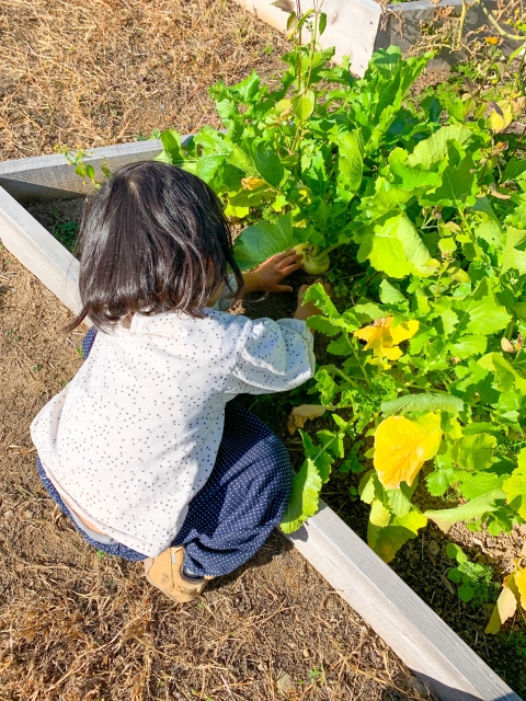 土岐市で家族と家庭菜園を楽しむ家を建てるならワダハウジング