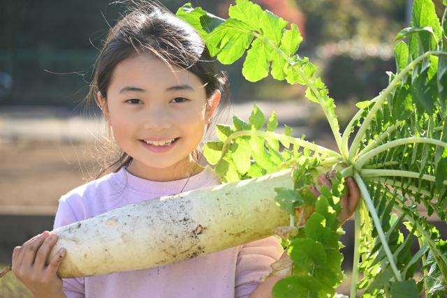 土岐市で家族と家庭菜園を楽しむ家を建てるならワダハウジング