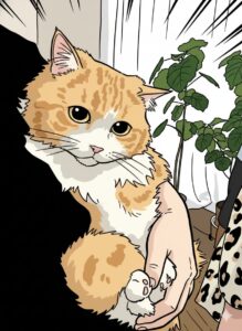 実家リノベーションを瀬戸市で行うならワダハウジングへご相談