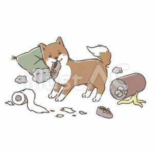土岐市で災害時でもペットと安心して住める家ならワダハウジング