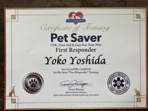 土岐市で災害時でもペットと安心して住める家ならワダハウジング