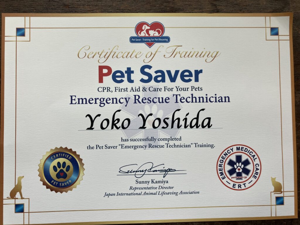 土岐市でペットと暮らす快適な家を建てるならワダハウジング