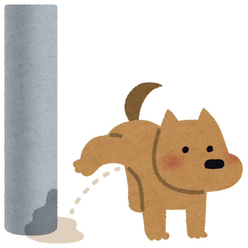 土岐市でペットと暮らす快適な家を建てるならワダハウジング