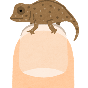 土岐市でペットと暮らす快適な家を建てるならワダハウジング