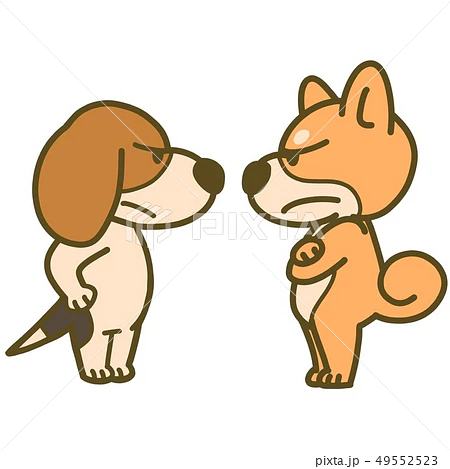 土岐市でペットと暮らす快適な家を建てるならワダハウジング