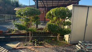 多治見市で住宅を彩る植栽ならワダハウジング