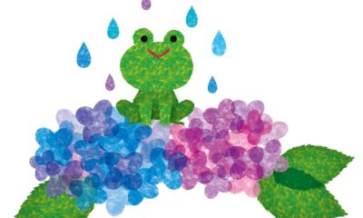今のうちに準備！梅雨になる前に終えておきたい外回りのリフォーム