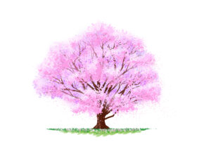 土岐市で安心提供業を掲げるワダハウジング和田製材の家づくり