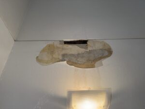 多治見市で生涯コストで考える家づくりならワダハウジング