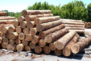 土岐市で家鳴りの原因と対策方法の相談ならワダハウジング